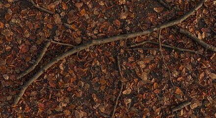 Overhead view of a forest floor covered in autumn leaves and scattered bare tree branches