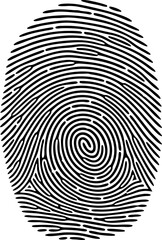 Digital Fingerprint with Circuit Pattern