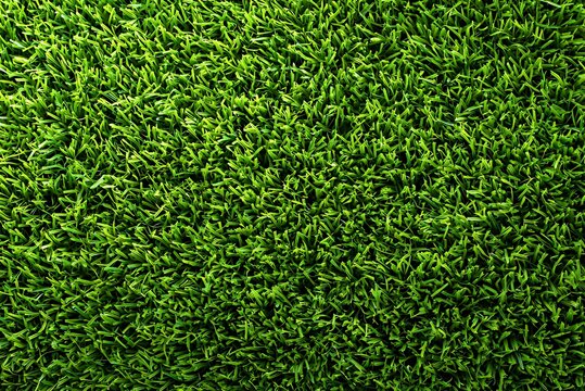 Close-up of vibrant green grass texture. A high-quality close-up view of a lush green grass field.
