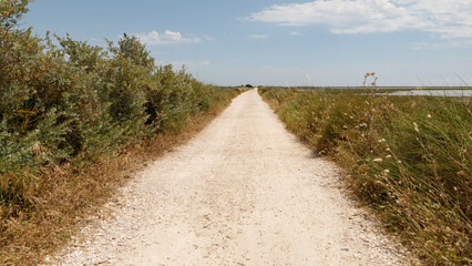 Sandweg in der Camargue