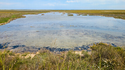 T&uuml;mpel in der Camargue