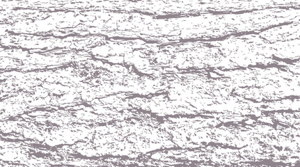 Pine bark texture