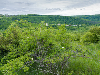 Bowl-shaped deepening in Dzhuryn River valley, top view, Ukraine