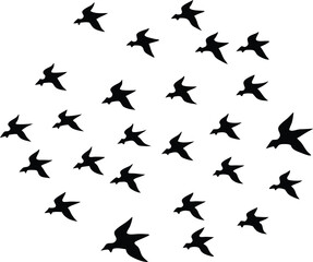 Fototapeta premium Silhouettes of airplanes flying in formation vector illustration
