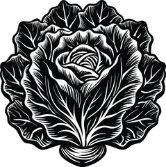 Intricate Black and White Illustration of a Cabbage  A Detailed Botanical Drawing, Perfect for Culinary, Farm-to-Table, or Vintage Designs © BAPJAN IT