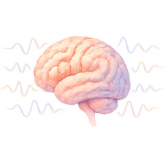 Realistic pink brain illustration with wave patterns on background