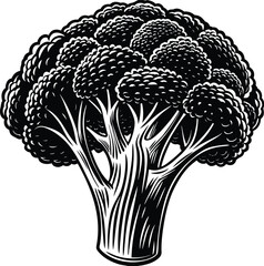 Fototapeta premium High-Resolution Black and White Broccoli Illustration Perfect for Culinary, Health, and Vegan Designs
