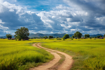 Obraz premium peaceful country road winding through green rice fields