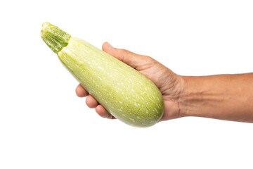Male hand holding a fresh zucchini isolated no background cut out
