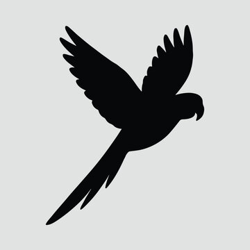 Silhouette flying parrot macaw in flight vector illustration