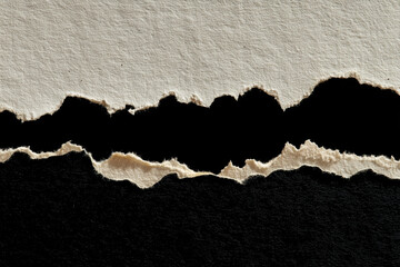 torn paper edges isolated with clipping paths