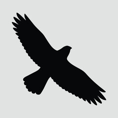 Silhouette hawk flying bird majestic falcon eagle vector illustration