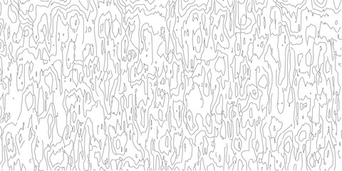Obraz premium Abstract Contour Line Map Design 
