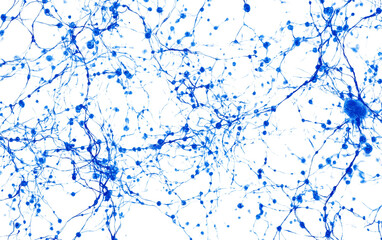 Fototapeta premium Digital visualization of neural network structure with glowing electric lines depicting deep learning systems isolated on transparent background PNG