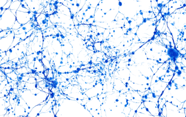 Digital visualization of neural network structure with glowing electric lines depicting deep learning systems isolated on transparent background PNG