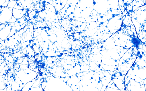 Digital visualization of neural network structure with glowing electric lines depicting deep learning systems isolated on transparent background PNG