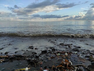 Plastic Waste and Natural Debris on a Beach Shore at Sunset