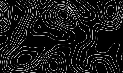 Topography grid contour map on white background, Topographic contour lines map seamless pattern. luxury topographic wavy pattern and geographic grid map design . © Mira