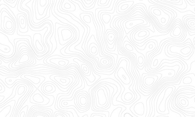 Topography grid contour map on white background, Topographic contour lines map seamless pattern. luxury topographic wavy pattern and geographic grid map design .