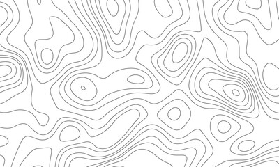 Topography grid contour map on white background, Topographic contour lines map seamless pattern. luxury topographic wavy pattern and geographic grid map design .
