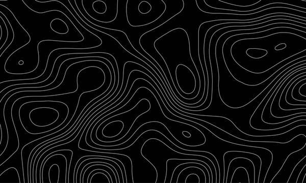 Topography grid contour map on white background, Topographic contour lines map seamless pattern. luxury topographic wavy pattern and geographic grid map design .