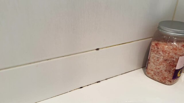Mold stain on bathroom tiles close-up. High quality 4k footage