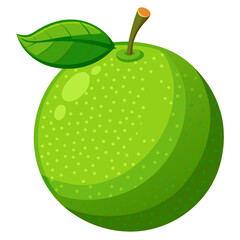 Green Apple Vector