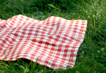 Red checkered tablecloth , picnic towel plaid on freass,outdoors.Food advertisement template.