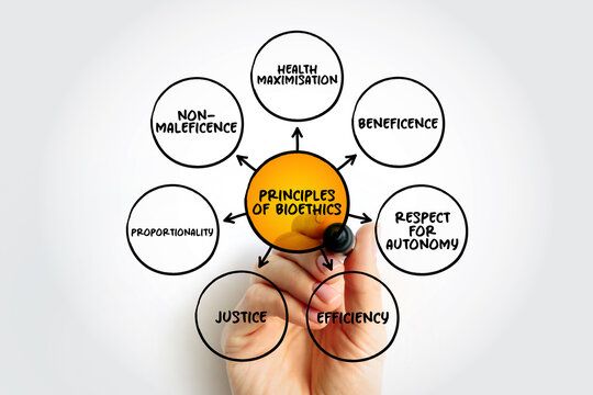 Principles of Bioethics (study of ethical, social, and legal issues that arise in biomedicine and biomedical research) mind map text concept background