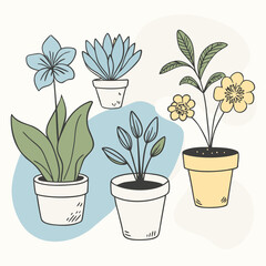 Indoor House Plants in Pots – Botanical Illustration of Potted Flowers