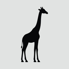 Silhouette of a giraffe standing gracefully wildlife animal vector illustration