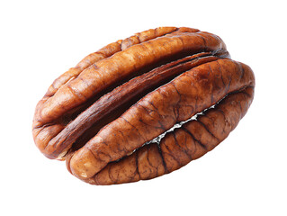 Single Brown Pecan Nut Isolated on a Transparent Background food ingredient