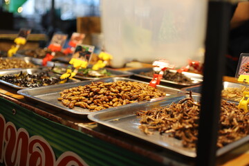 Assorted fried insects displayed in trays at a traditional Thai night market. Edible bugs including silkworms, crickets, and beetles offered as exotic street food.