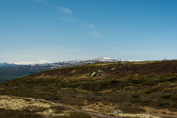 Tundra and Snow Peaks of Jotunheimen