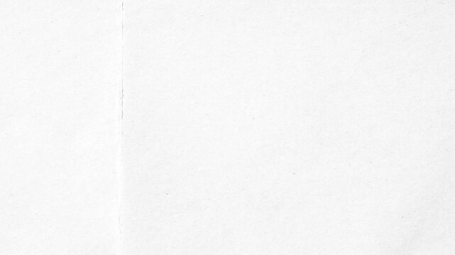 Stop Motion Paper Texture. An animated black and white creased paper background. A flickering, noisy loop perfect for vintage overlays and handmade-style projects.