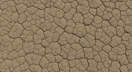 Closeup of dry cracked earth forming a polygonal pattern with scattered small pebbles on an arid surface