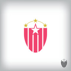 Protection shield and star logo. Unique design identity. Geometric flat logo template.