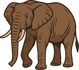 Fototapeta premium elephant isolated on white, African Forest Elephant Vector Illustration