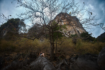 person sits on a large rock, gazing at a vast, rocky mountain. Leafless trees surround the scene, with dusk approaching, creating a tranquil atmosphere in natures embrace