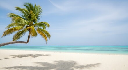 Idyllic Tropical Beach Scene with Leaning Palm Tree and Turquoise Water, Serene Beach Getaway: Palm Tree Shadow on White Sand Under Clear Blue Sky