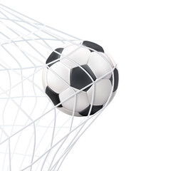 Soccer Ball in Net: A classic black and white soccer ball finds its mark, nestled in the back of the net, symbolizing victory and the thrill of the game.