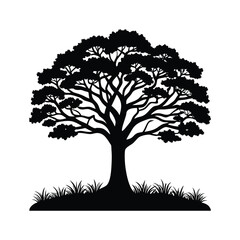 Obraz premium Silhouette of a large deciduous tree with sprawling branches and lush foliage