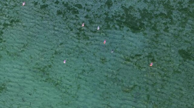 Aerial View of Windsurfers on the Water, Caribbean Netherlands.