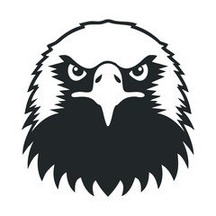 Fototapeta premium Monochrome illustration of an intense eagle head with fierce eyes