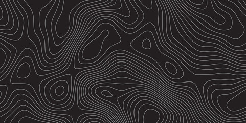Elegant gray topographic contour lines background with modern abstract pattern.