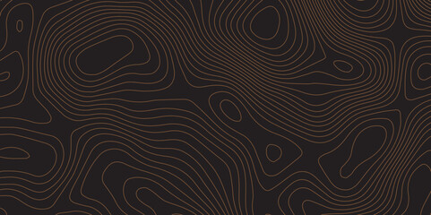 Dark topographic vector pattern with abstract contour lines for luxury backdrops.