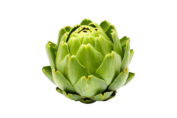 Fototapeta premium artichoke on white background