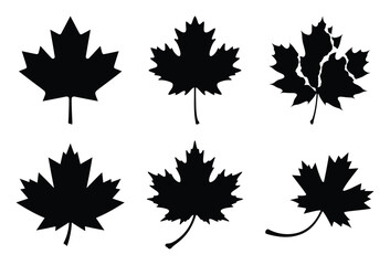 Collection of canadian maple leaf silhouettes isolated on white background