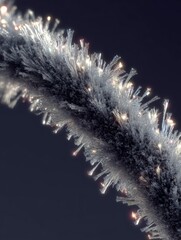 Close-Up of Frost-Covered Plant Stem