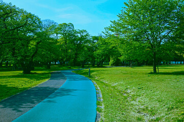 緑の公園　ランニングコース